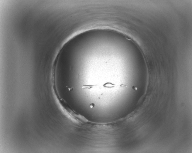 X0000068851526200605051159