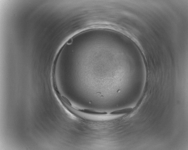 X0000068851533200605051159