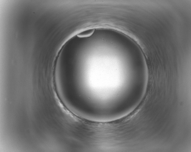 X0000068851534200605051159