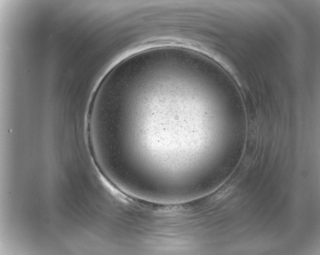 X0000068851535200605051159