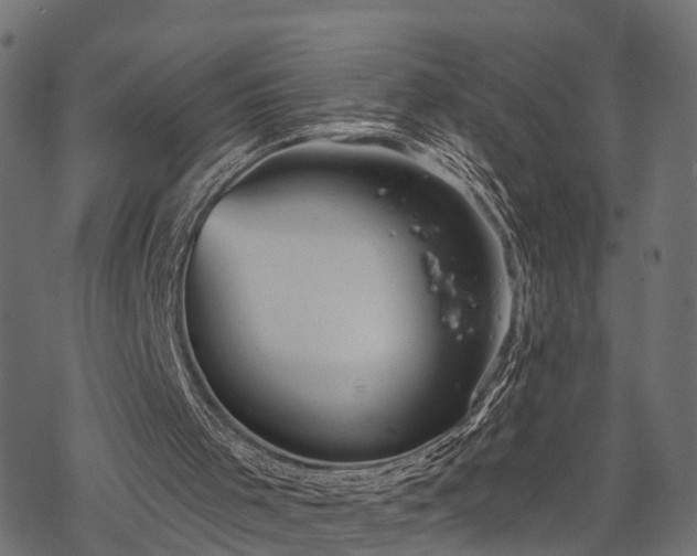 X0000068850001200605081227