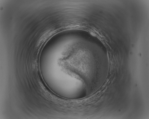 X0000068850002200605081227