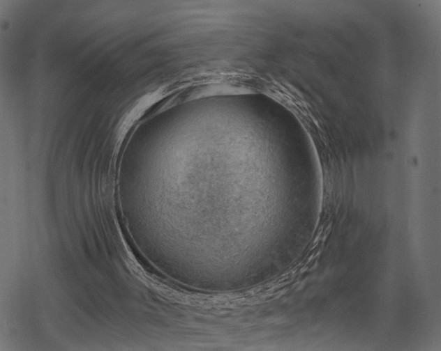 X0000068850003200605081227