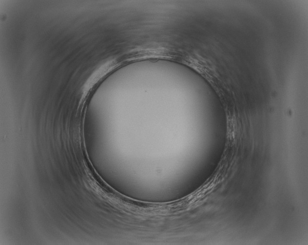 X0000068850004200605081227