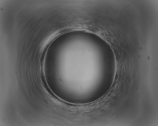 X0000068850005200605081227