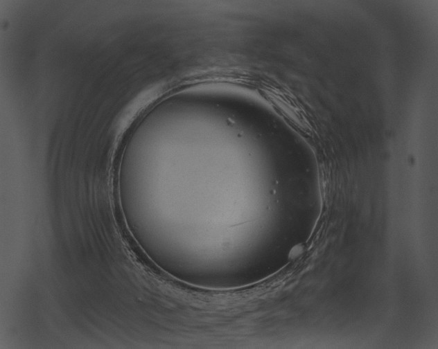 X0000068850006200605081227