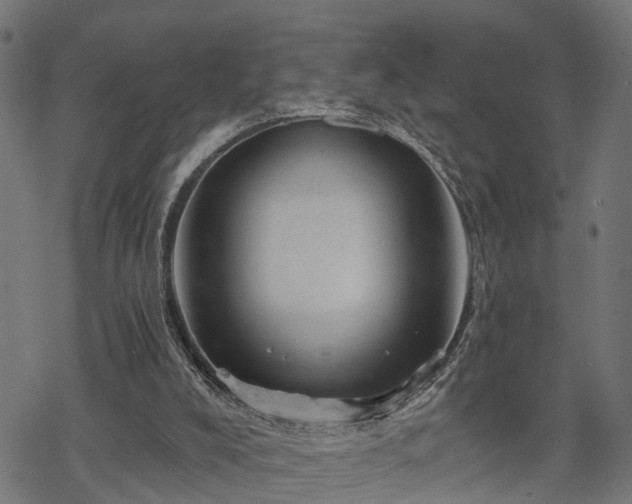 X0000068850008200605081227