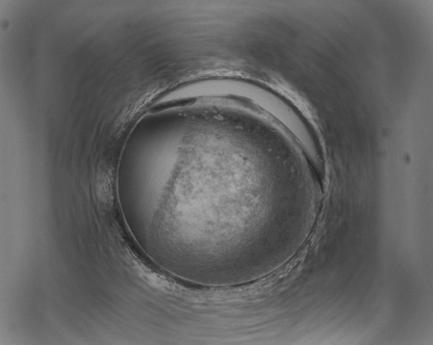 X0000068850009200605081227