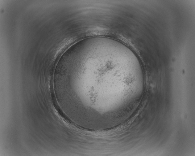 X0000068850010200605081227