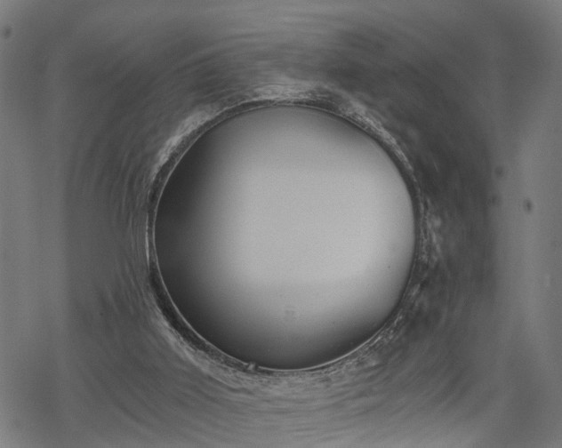 X0000068850011200605081227