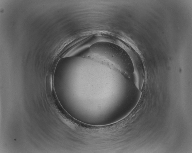 X0000068850013200605081226