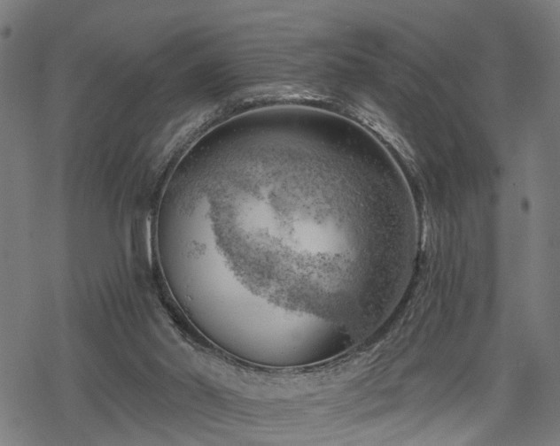 X0000068850014200605081226