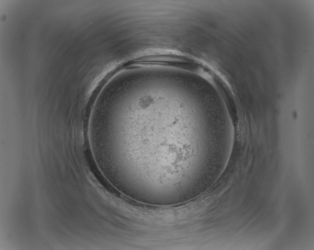 X0000068850015200605081226