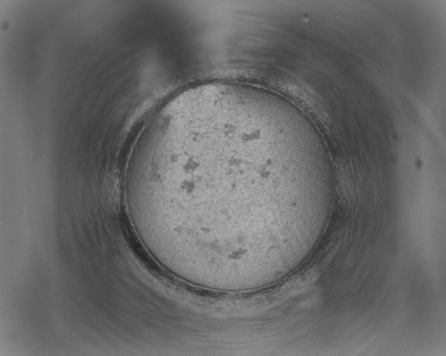 X0000068850016200605081226