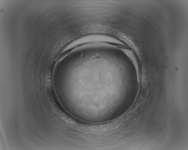 X0000068850017200605081226