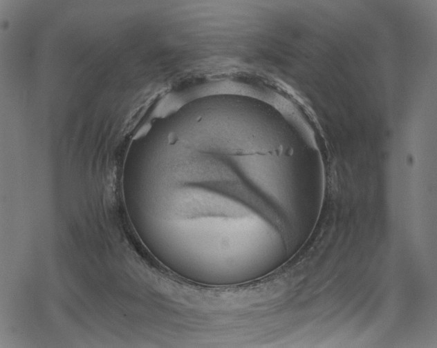 X0000068850018200605081226