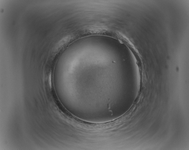 X0000068850019200605081226