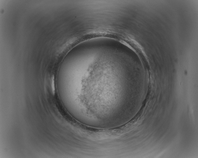 X0000068850020200605081226