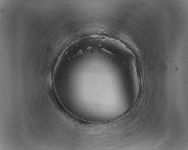 X0000068850021200605081226