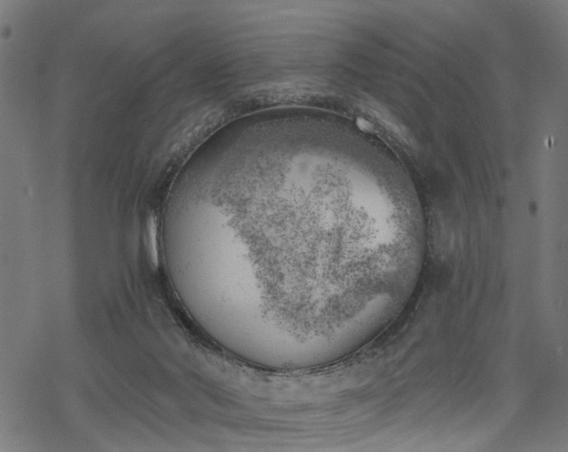 X0000068850022200605081226