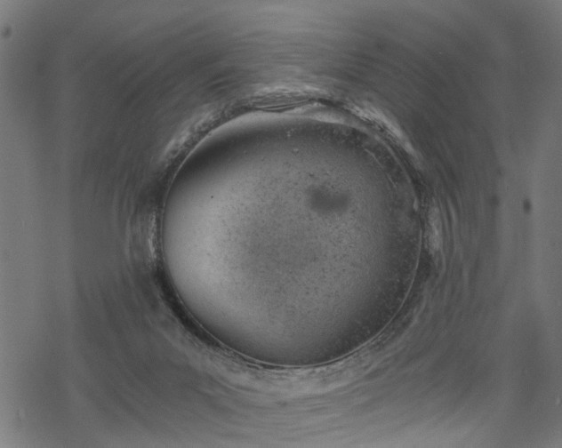 X0000068850023200605081226