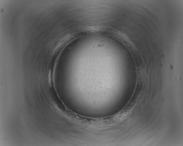 X0000068850024200605081226