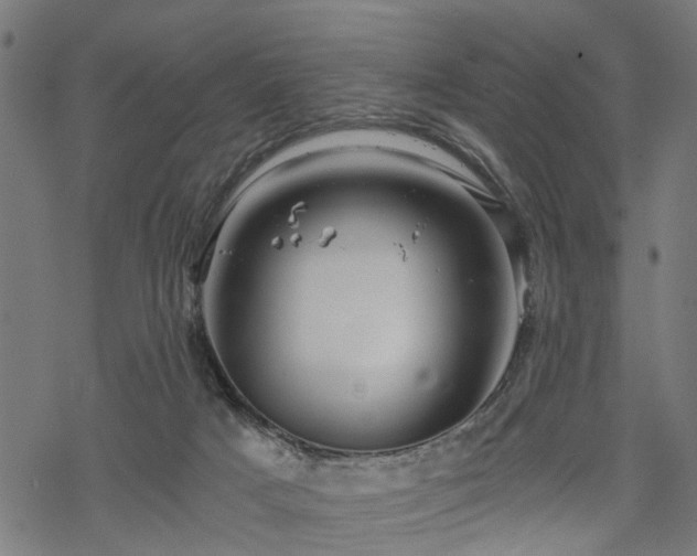 X0000068850025200605081226