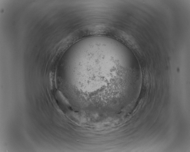 X0000068850026200605081226