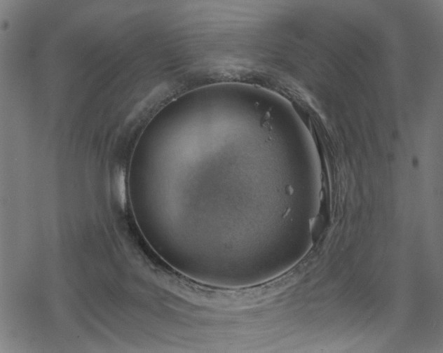 X0000068850027200605081226