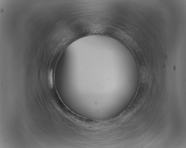 X0000068850028200605081226