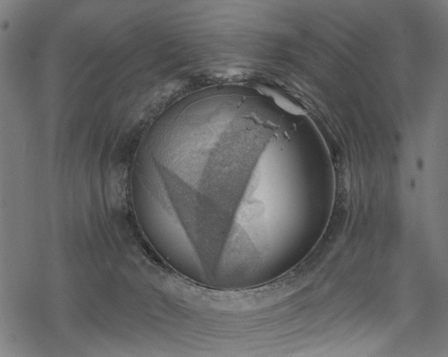 X0000068850030200605081226