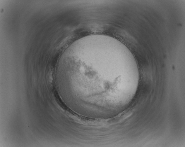 X0000068850032200605081226