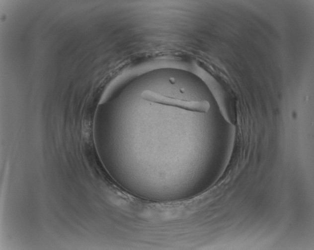 X0000068850033200605081226