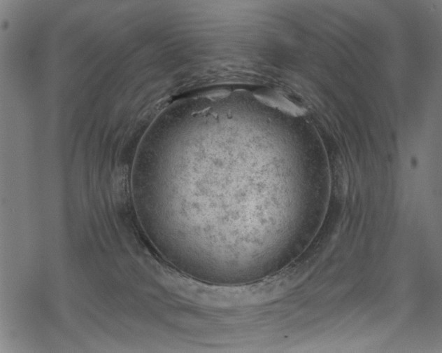 X0000068850034200605081226