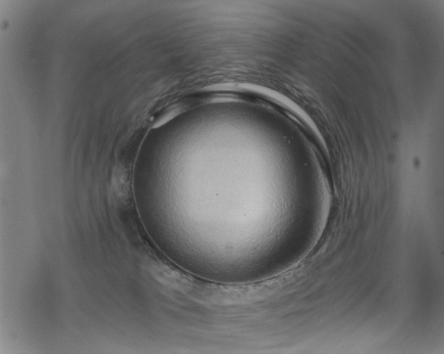 X0000068850037200605081226