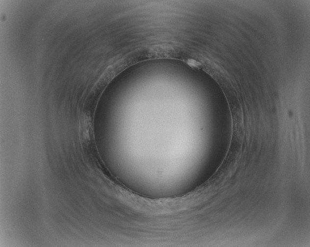 X0000068850038200605081226