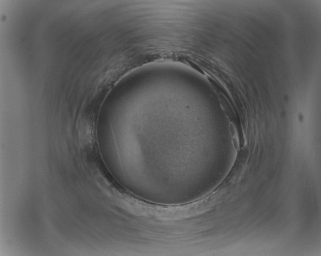 X0000068850039200605081226