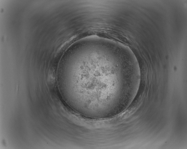 X0000068850040200605081226