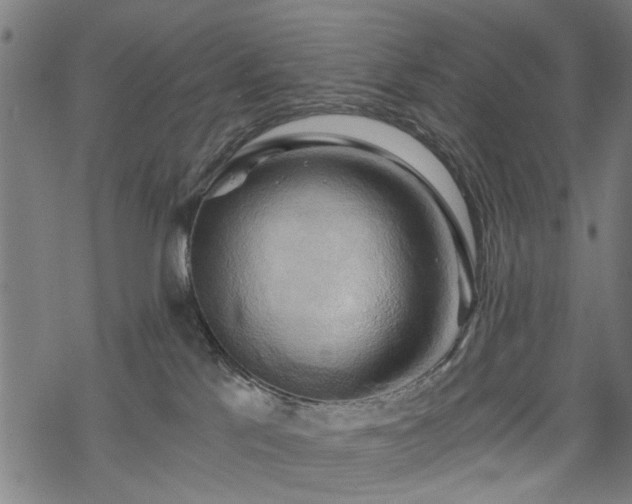 X0000068850041200605081226