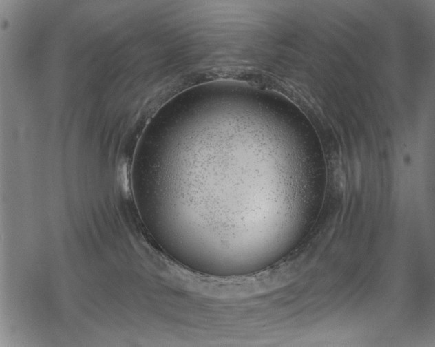 X0000068850042200605081226