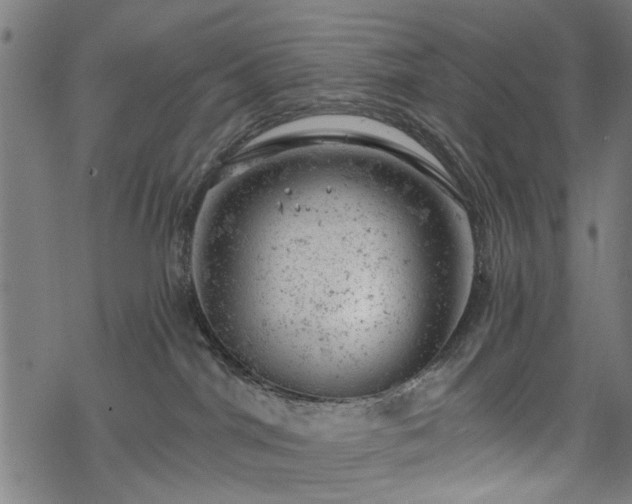 X0000068850044200605081226