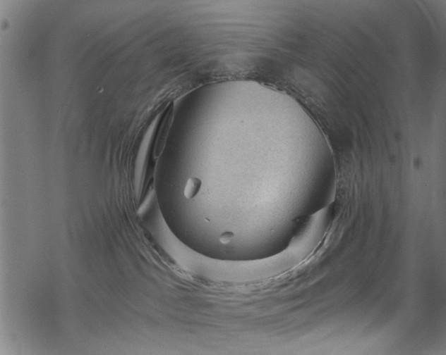 X0000068850045200605081226