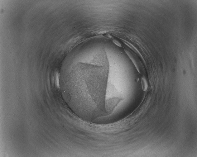 X0000068850046200605081226