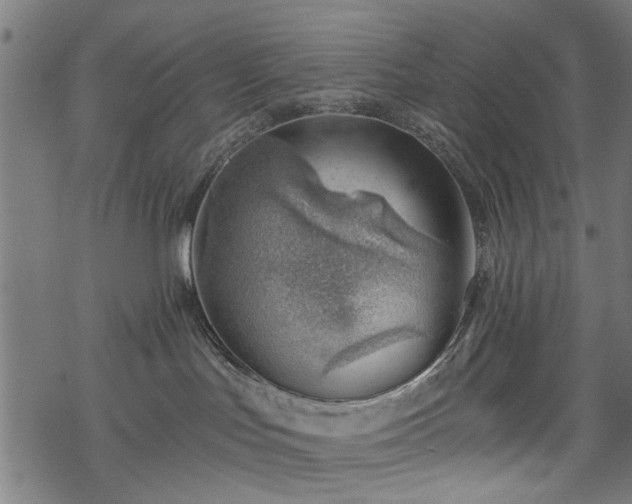 X0000068850047200605081226