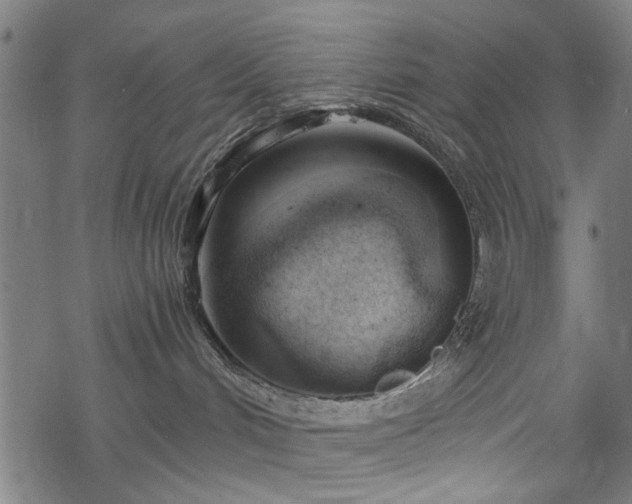 X0000068850048200605081226