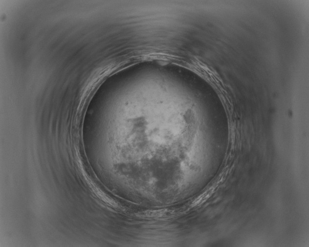 X0000068850049200605081225