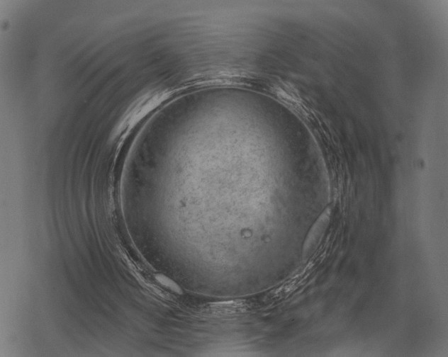 X0000068850050200605081225