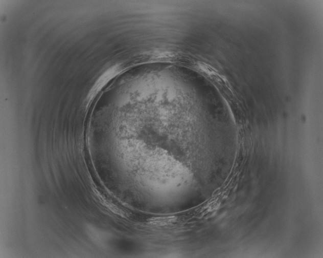 X0000068850051200605081225