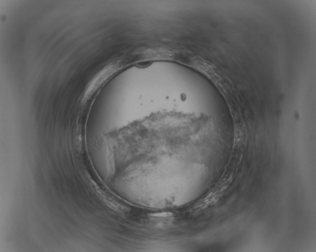 X0000068850053200605081225