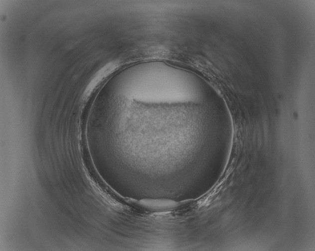 X0000068850054200605081225